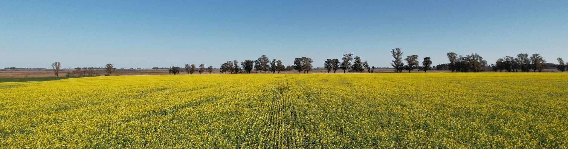 La Santina Posada & Experiencias de Campo