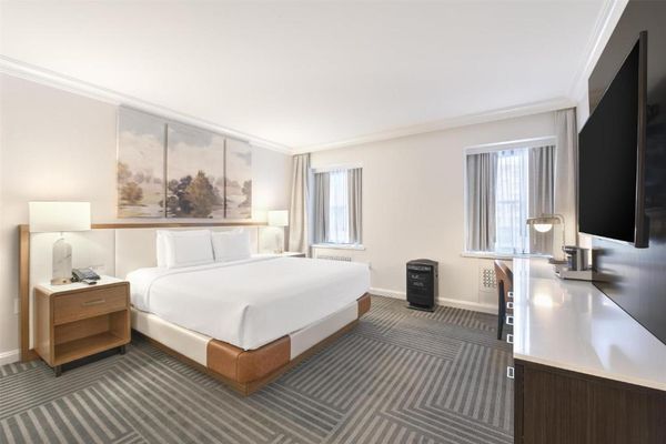 Habitación PURE Wellness con cama extragrande