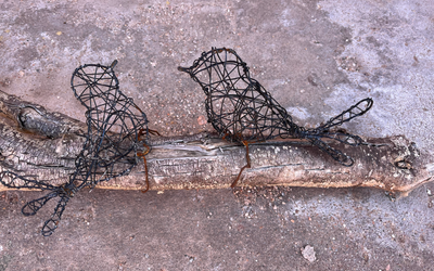 ElChiflonPostaPueblo - Wi-Fi