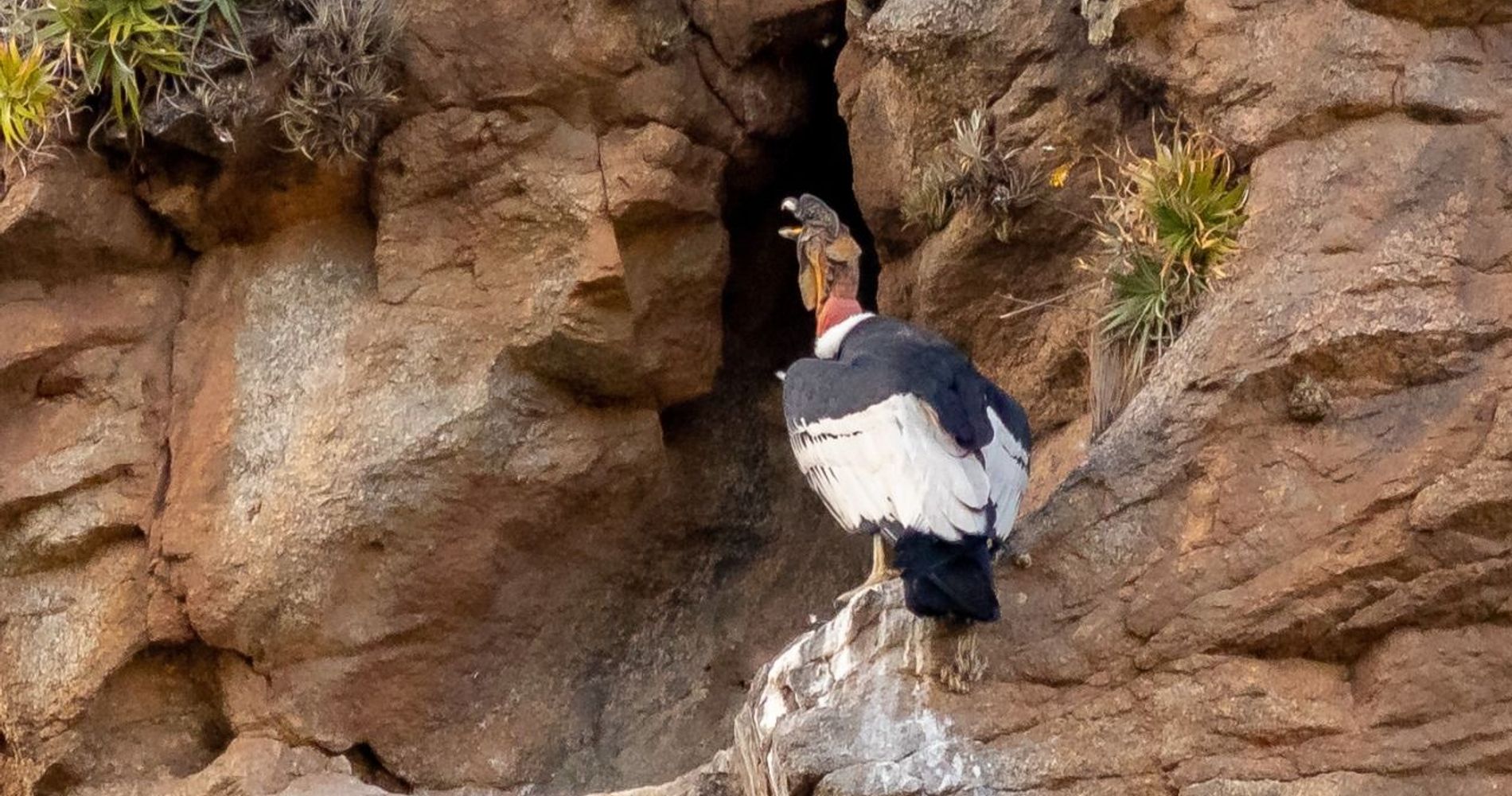 Paso Del Condor - Hotel De Montaña, San Luis, Argentina
