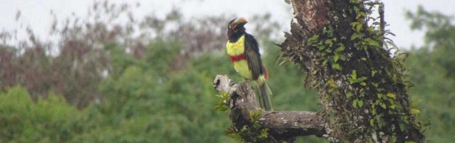 Suítes Mediterrâneas