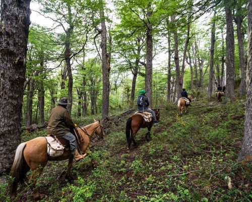 Magnifique lodge écologique