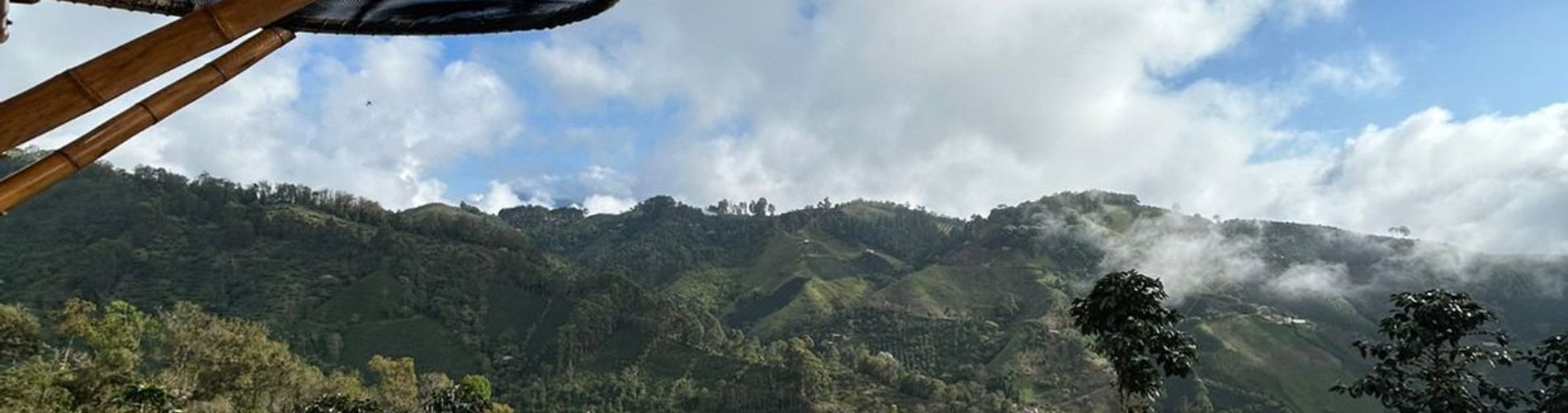 Entre Montes y Cafetales Glamping