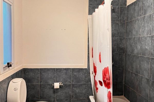 APART AL CAMPO PURA SANGRE