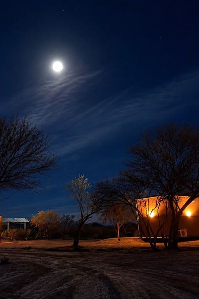 Eco Lodge - Campos de artaza