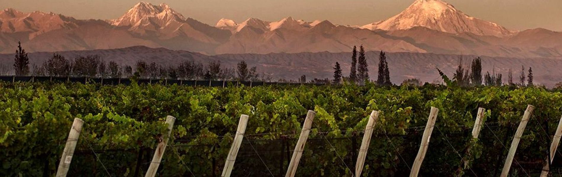 La María Boutique Hotel