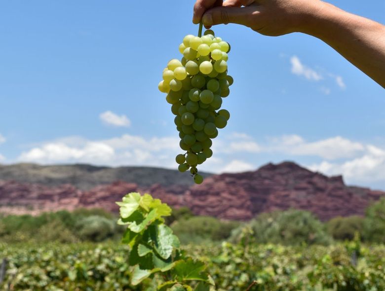 La Casa De La Bodega - Wine Boutique Hotel