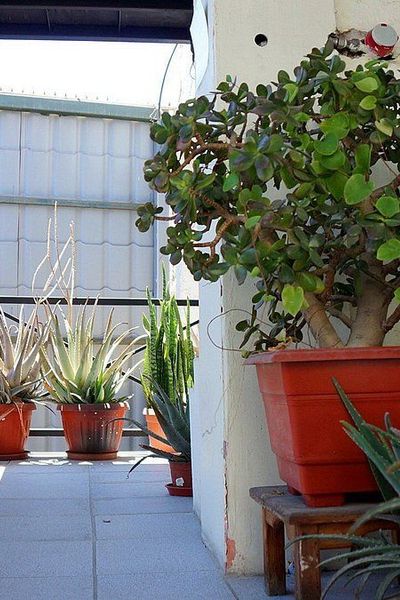 Bahia Caracoles  Apart Hotel