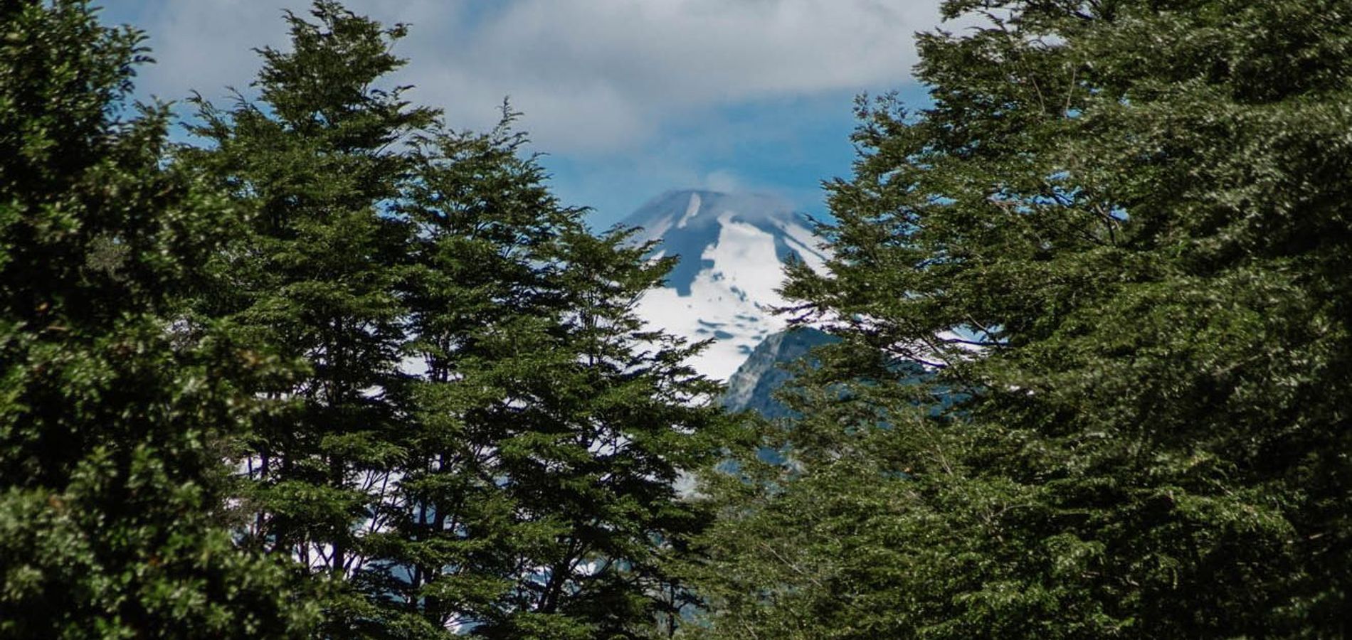 Hotel Posada del Río - Parque Metreñehue