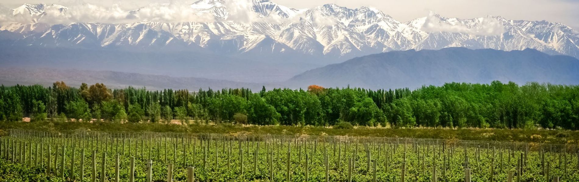 La María Boutique Hotel