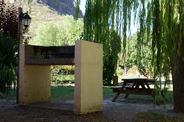 Eucaliptos - hasta 6 pax 