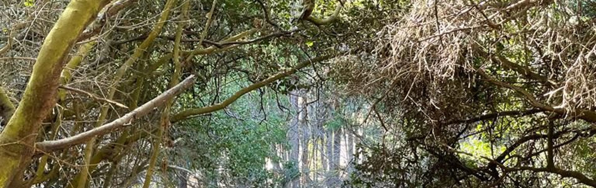 Zapallar Lagoon Park