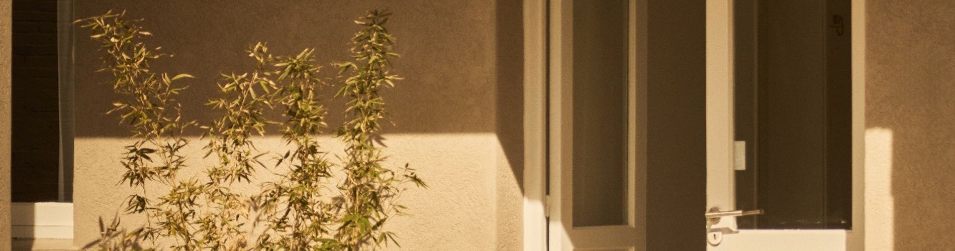 W&H Casa de Huéspedes