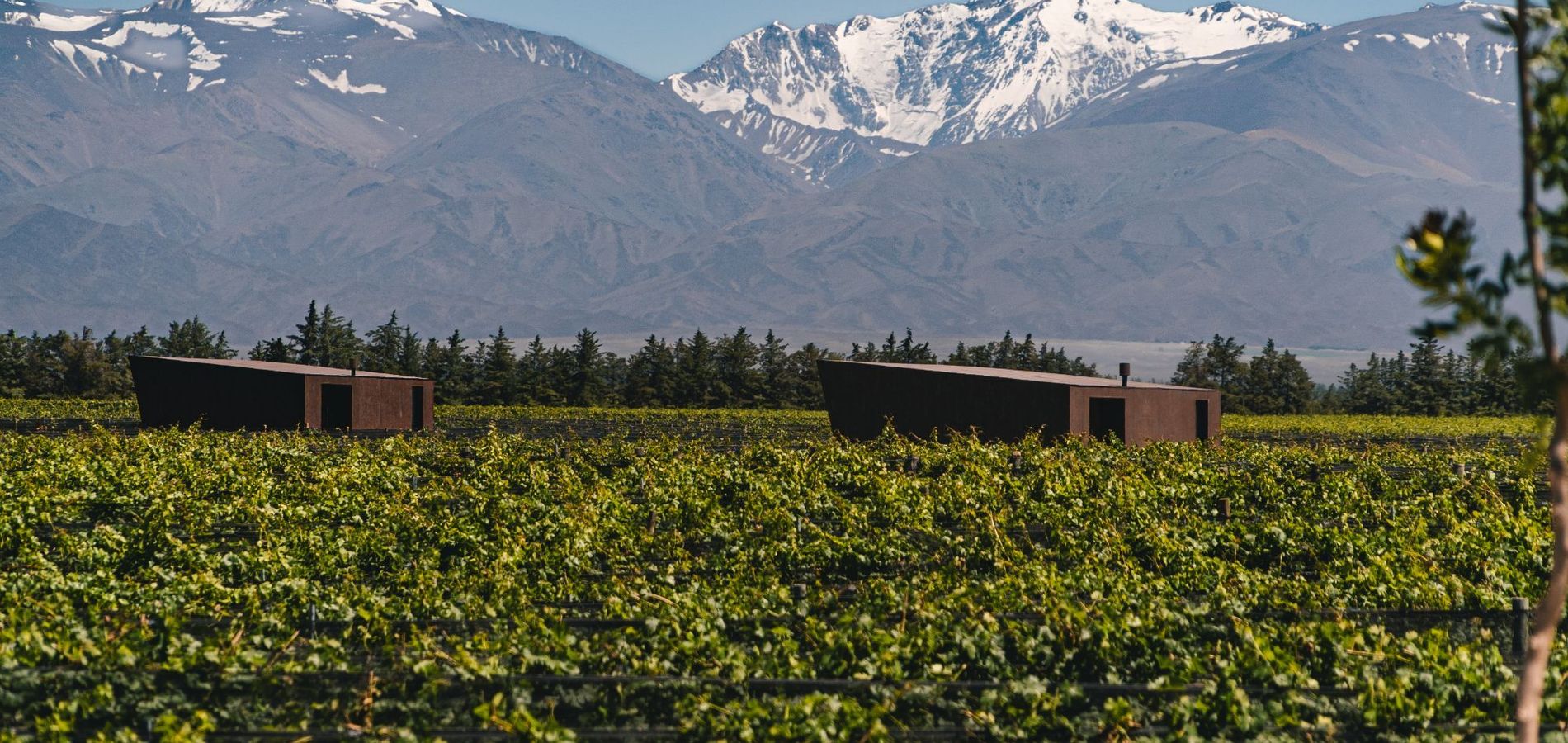 Andeluna Winery Lodge