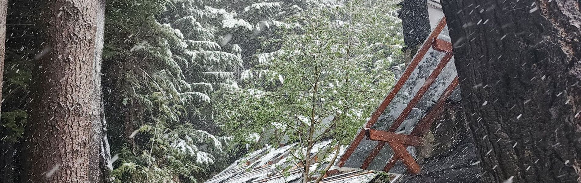 Casa del Bosque Aparts & Suites