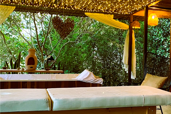 Plan Celebracion y Bienestar