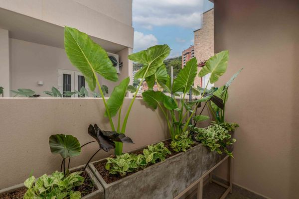 Habitación Superior con Terraza