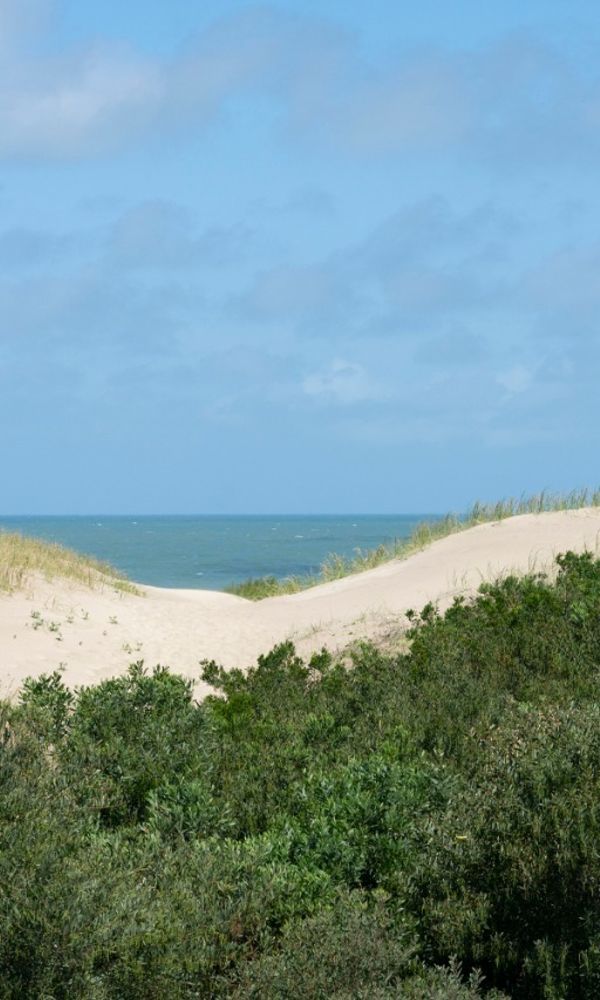 Apart Hotel Valeria Playa 