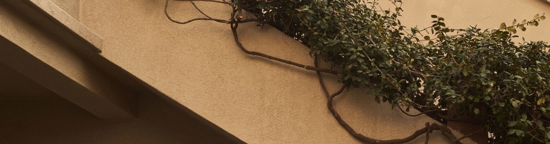 W&H Casa de Huéspedes