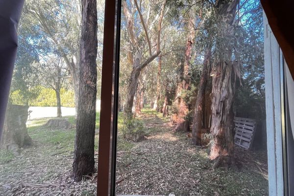 APART AL CAMPO PURA SANGRE