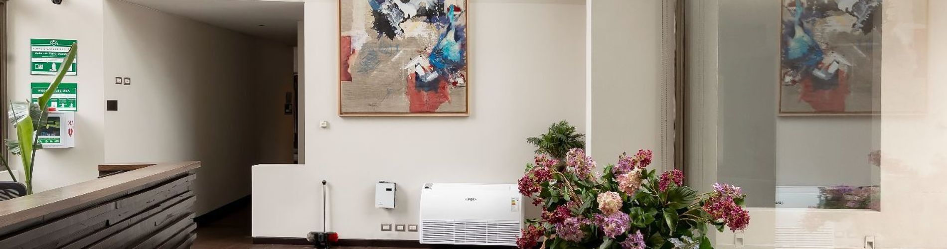 Hotel Los Españoles Plus