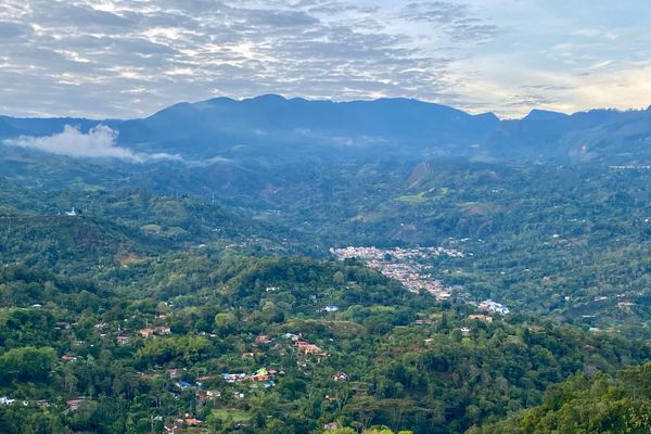 Habitación Superior