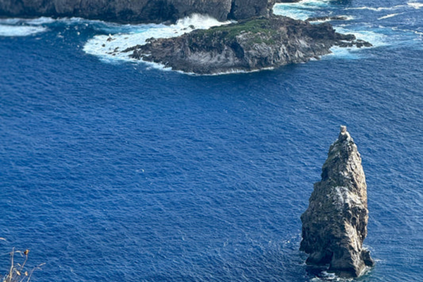 Paseo en bote a los motus y Snorkeling