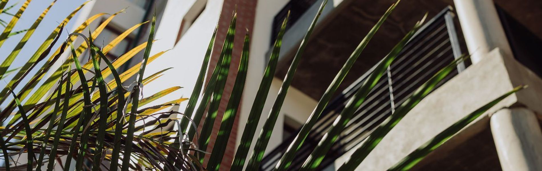 Iguazu Village Rentals