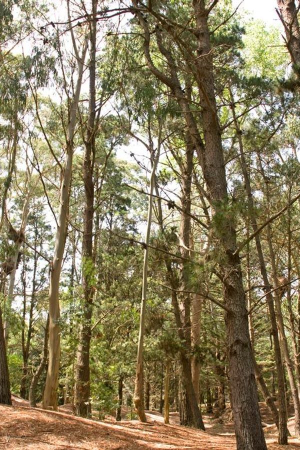 Pillmayken Apart & Spa