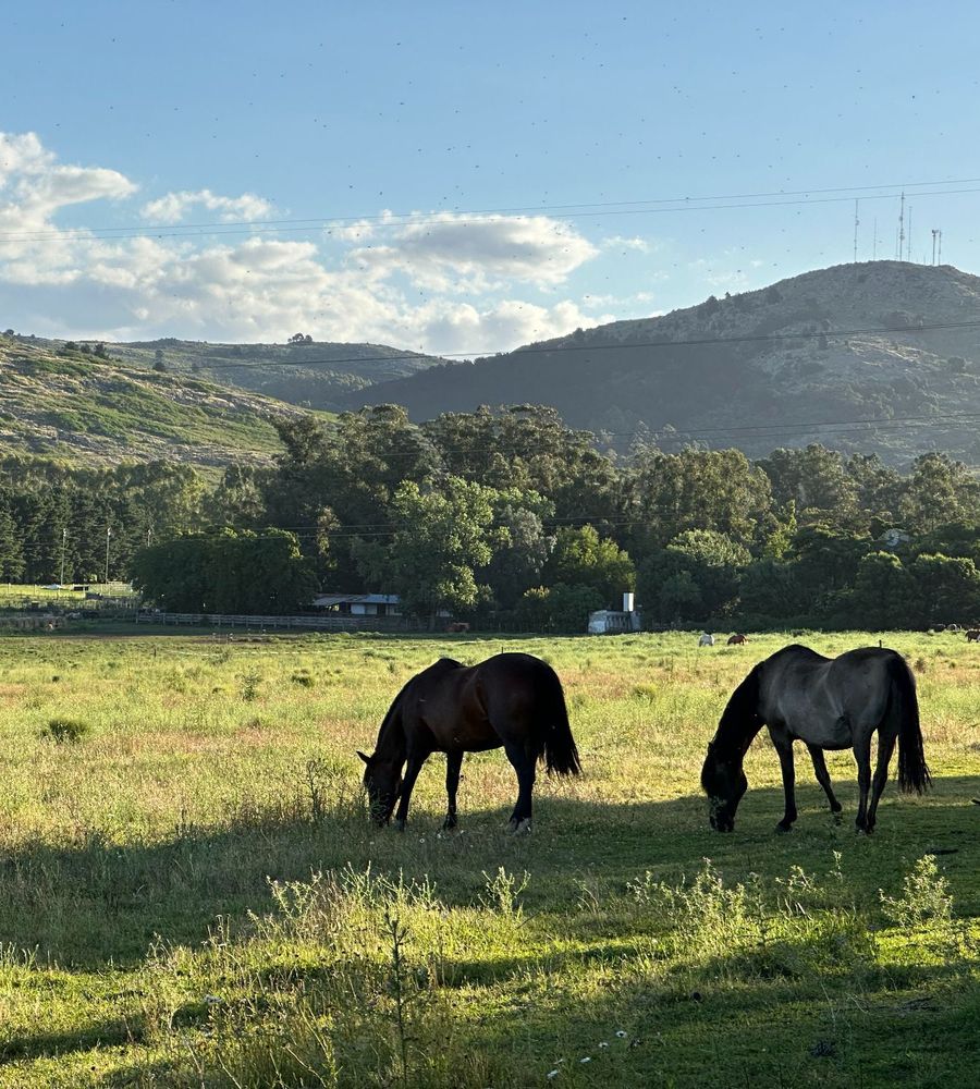 HOTEL EL PARAISO DE LA SIERRA