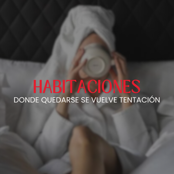 Hotel Windsor Mendoza