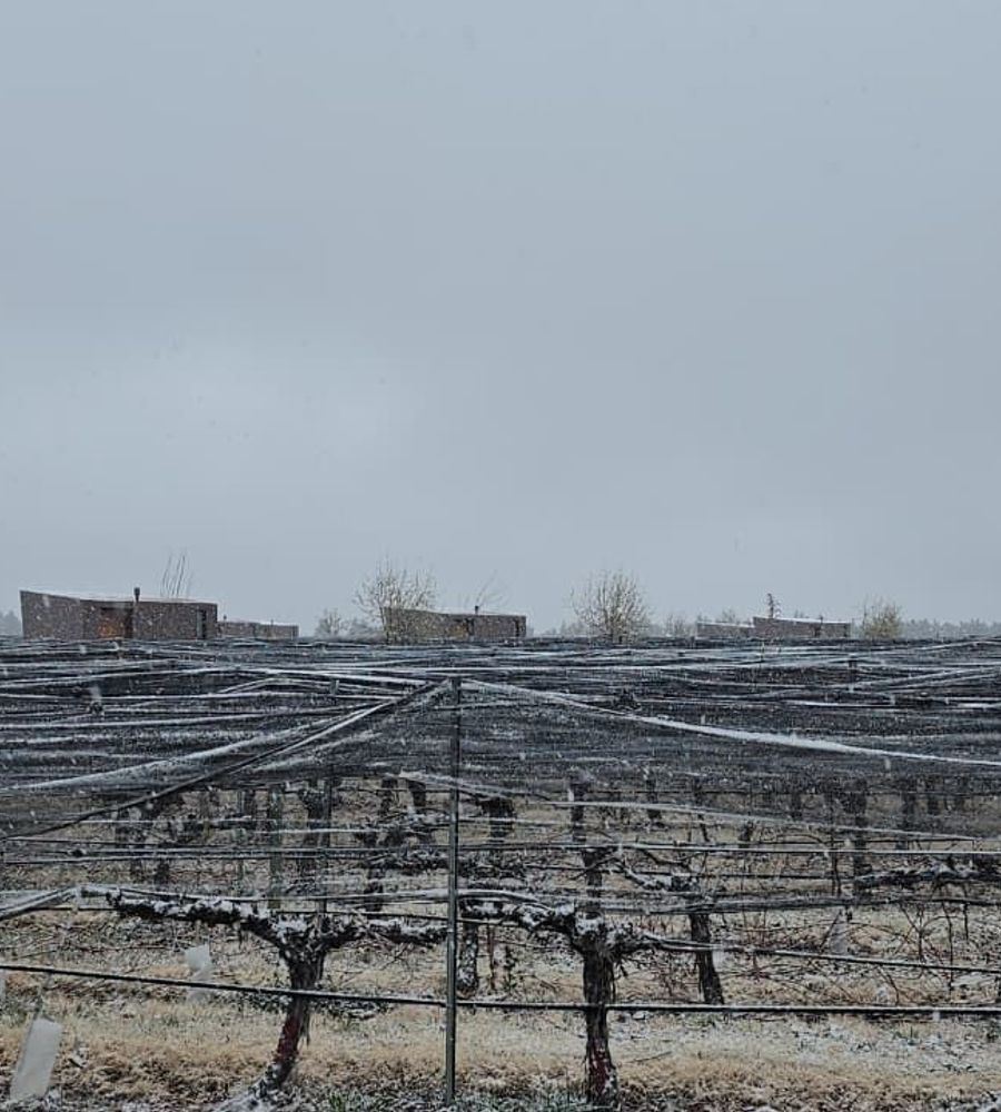 Andeluna Winery Lodge