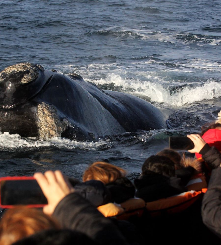 Las Restingas Hotel de Mar