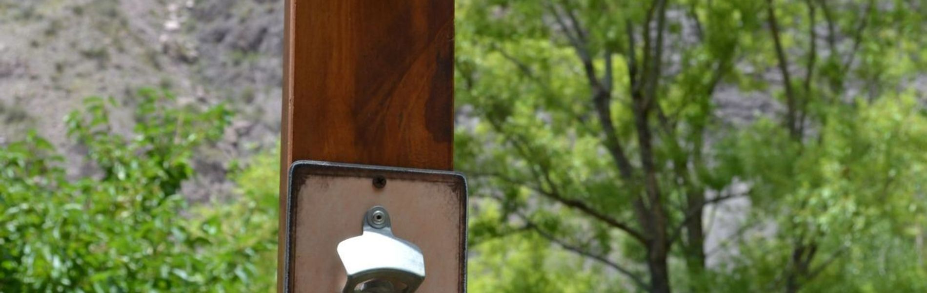 Mendoza Sol y Nieve :: Ciudad