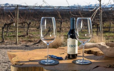 AndelunaCellarsSRL - Degustación y visita a la bodega