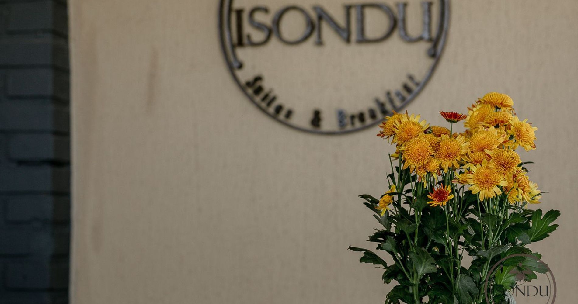 Isondu Suites & Breakfast