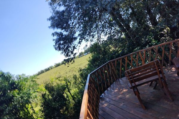 Domo Ilusión Silvestre