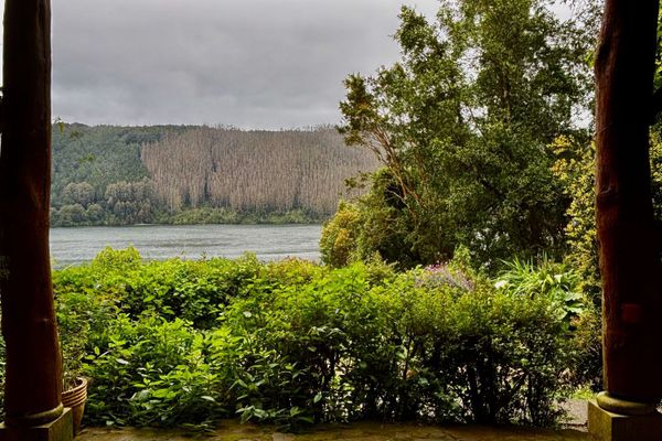 Departamento Colibri