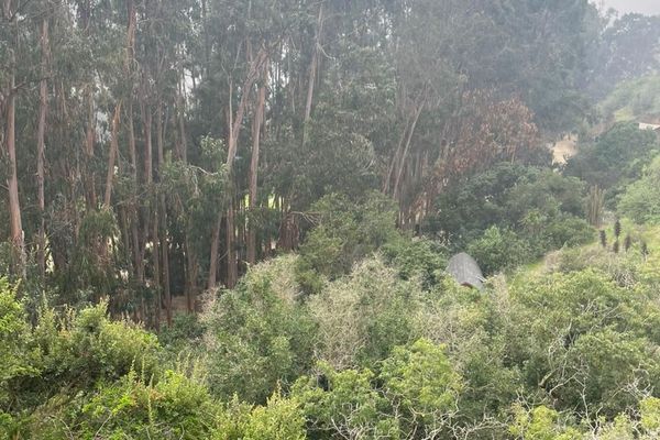 Glamping boutique cama grande