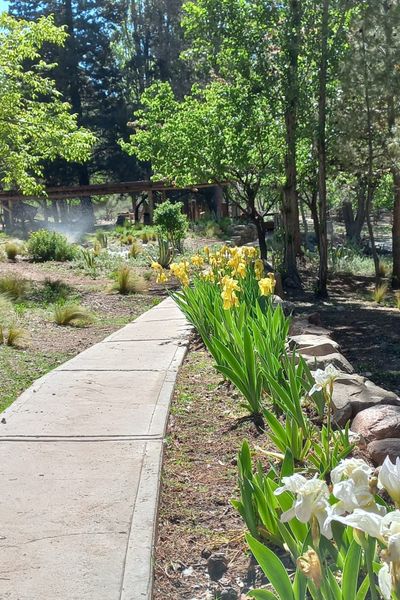 San Ignacio Estancia Andina