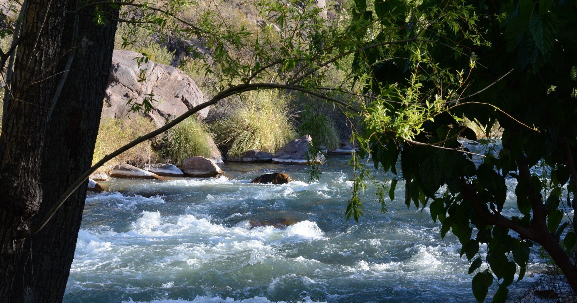 Cabañas Carü Leufu