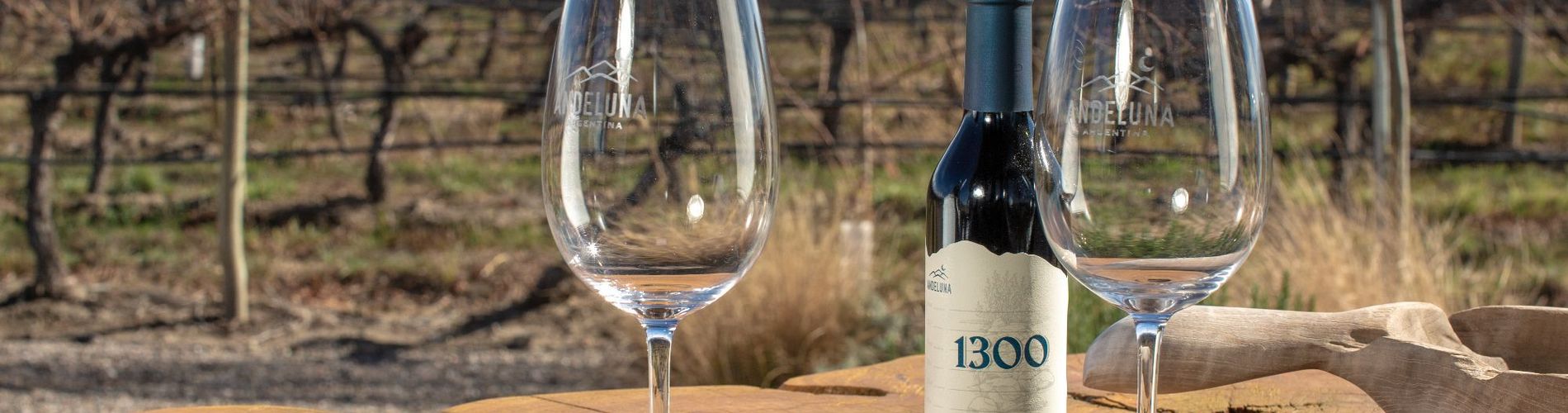 Andeluna Winery Lodge