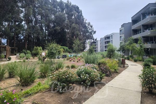 Disegni 18 - Departamento Familiar con Piscina, Lomas de Puyai Papudo