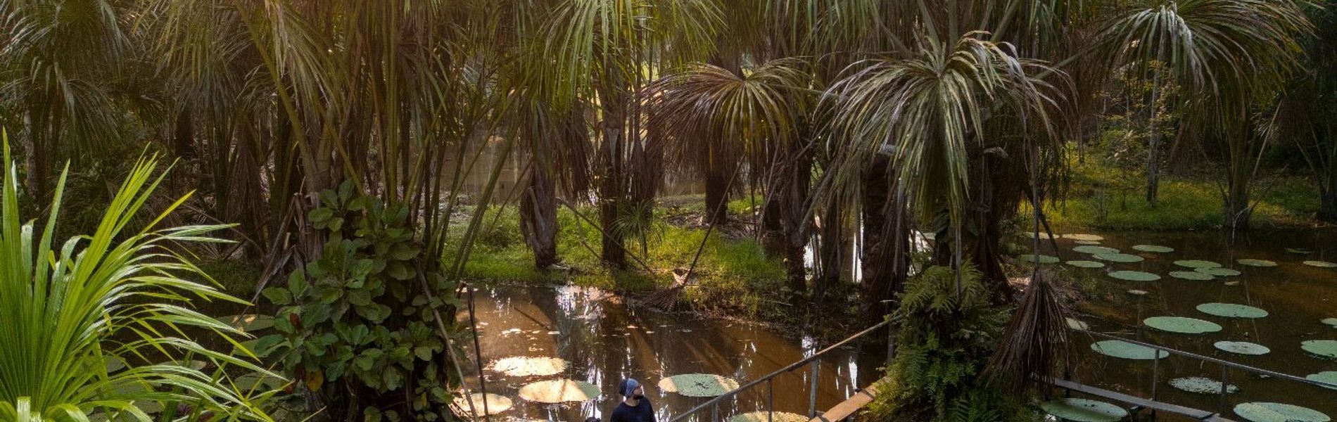 Heliconia Amazon River Lodge