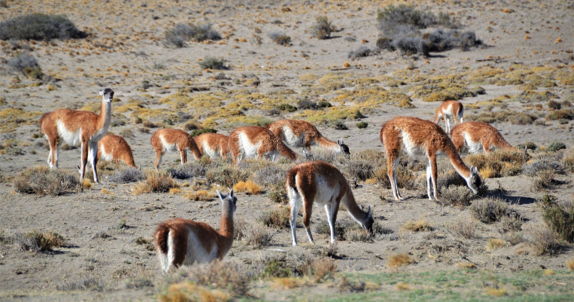 Refugio La Posta de Los Toldos | Parque Patagonia