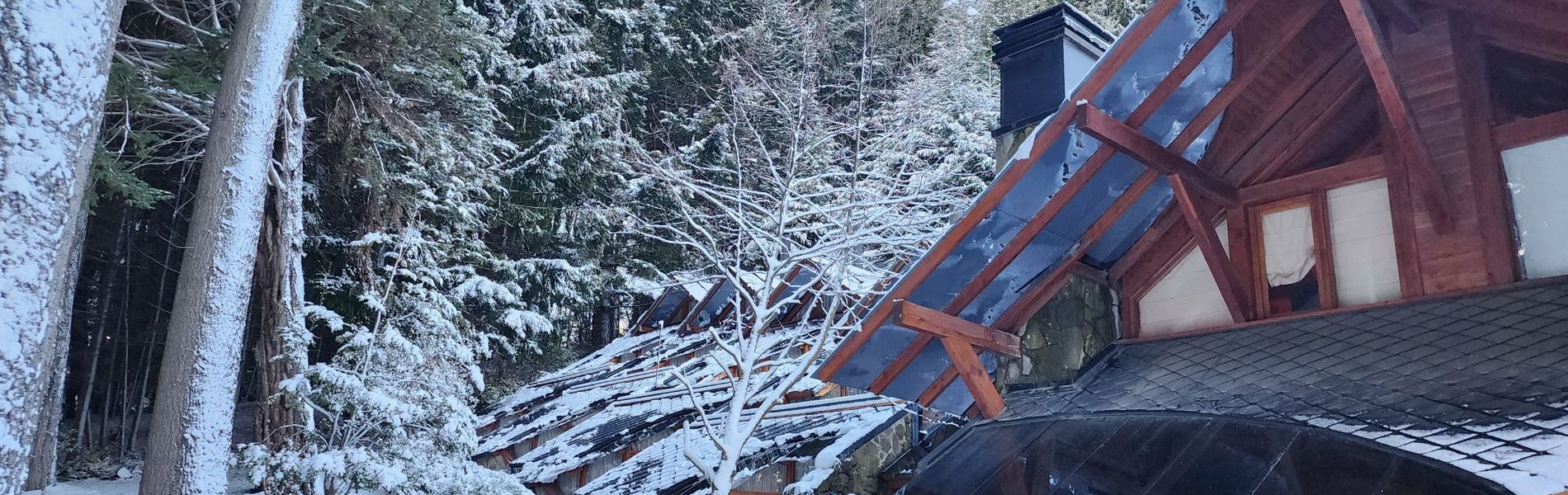 Casa del Bosque Aparts & Suites