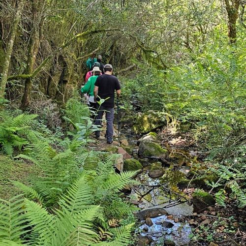 Mesón de Las Cañas