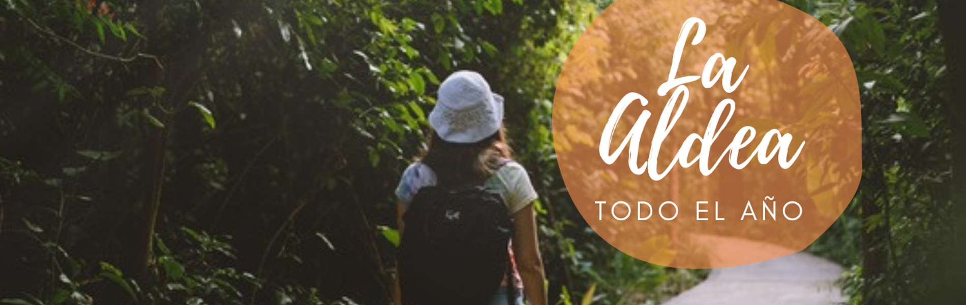 The Jungle Village Lodge