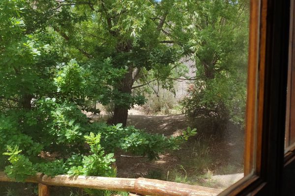 POTRERILLOS :: Cabaña Loft 