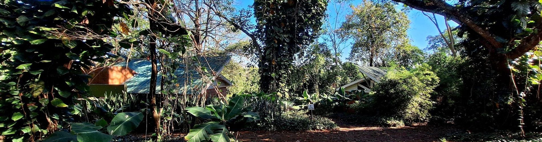 Roots Amambai Lodges